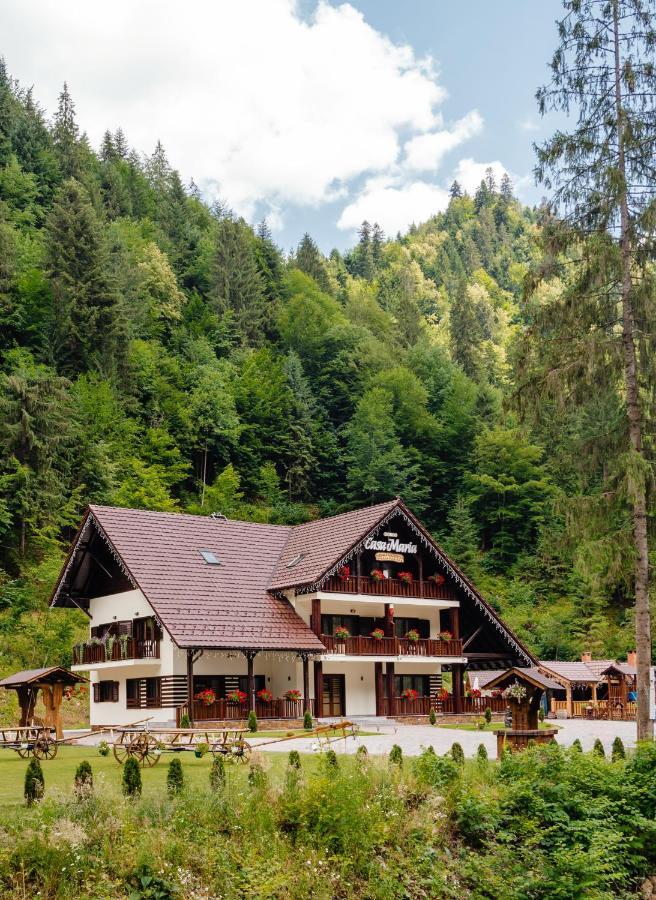 Pensiunea Agroturistica Casa Maria Rodna Экстерьер фото
