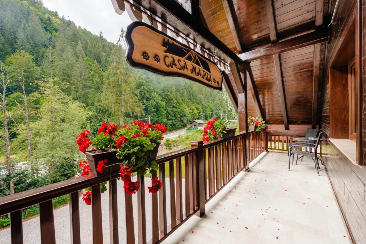 Pensiunea Agroturistica Casa Maria Rodna Экстерьер фото